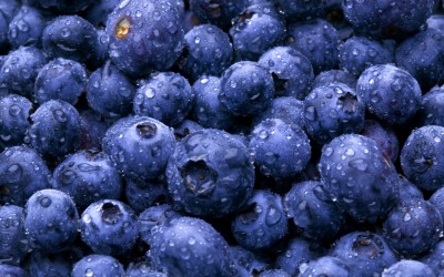 Blueberries – The Not So Secret Super Fruit