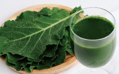 Kale – A Worthy Addition to Your Diet?