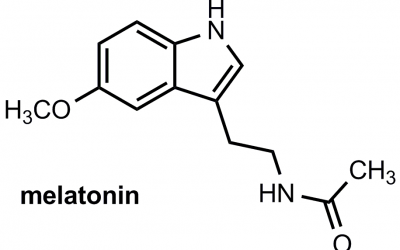 Melatonin – What Does It Do?