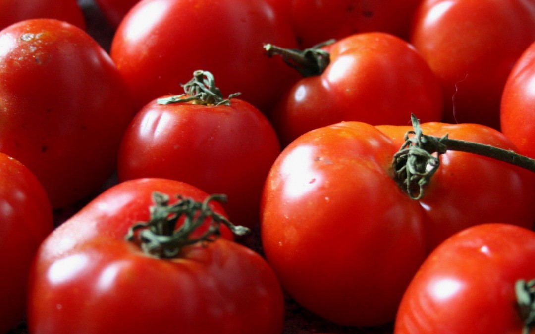 Tomatoes and Its Health Benefits