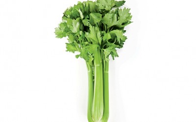 The Benefits Of Adding Celery To Your Diet