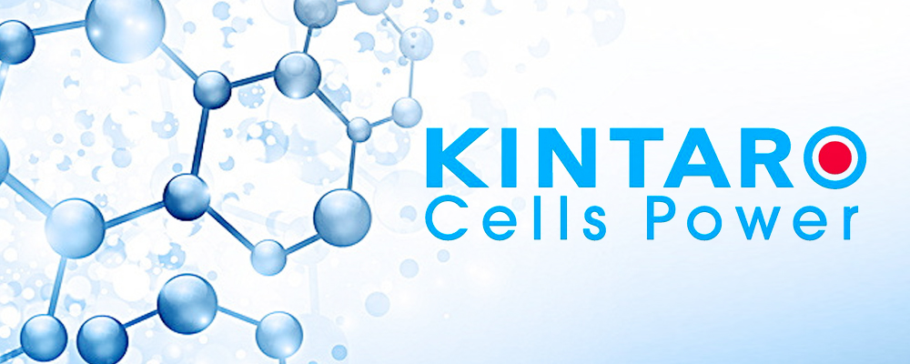 REVERSING ANTI-AGING- KINTARO STEM CELLS